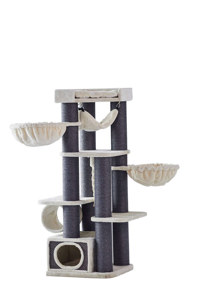 Nobby Kratzbaum Chilo